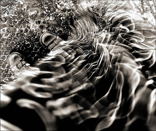 autor: paulo rodrigues
t&iacute;tulo: Dress