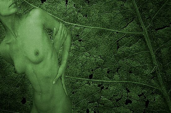 autor: paulo rodrigues
t&iacute;tulo: Erika In Green