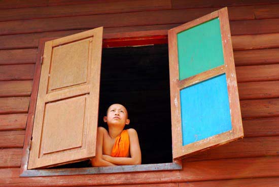 autor: paulo rodrigues