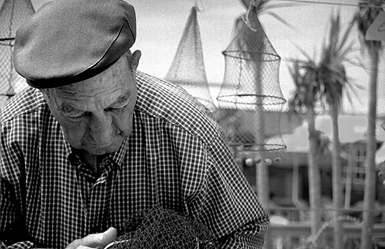 autor: Sofia Quintas