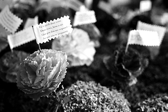 autor: Sofia Quintas