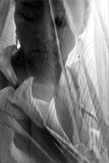 autor: paulo rodrigues
t&iacute;tulo: lilies