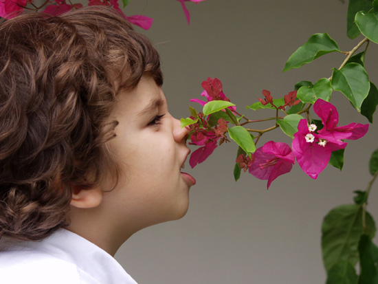 autor: paulo rodrigues
t&iacute;tulo: Smell it...