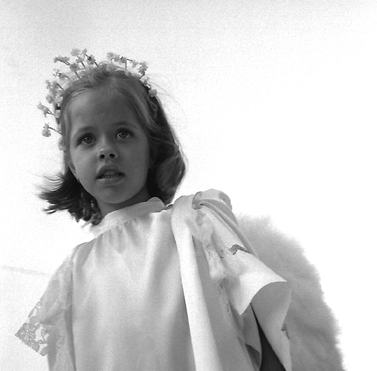 autor: Manuel Luís Cochofel