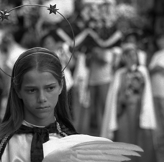 autor: Manuel Luís Cochofel