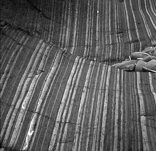 autor: Manuel Luís Cochofel