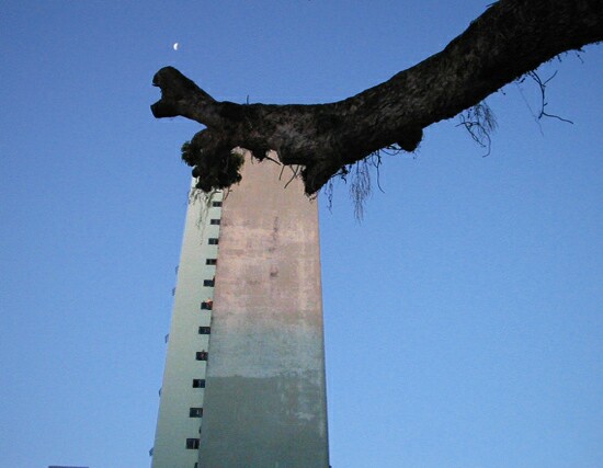 autor: paulo rodrigues
t&iacute;tulo: Revolta