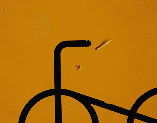 autor: paulo rodrigues
título: Bike Ride