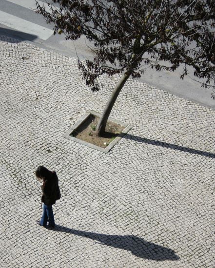 autor: paulo rodrigues
t&iacute;tulo: Parallel shadows