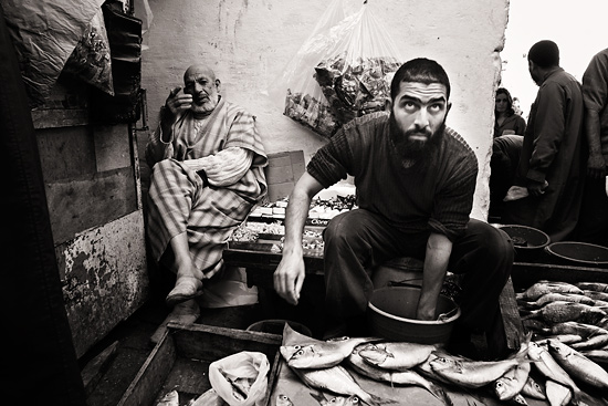 autor: paulo rodrigues
título: Seller of fish