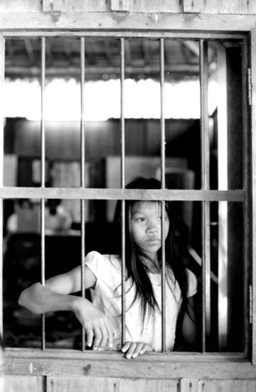 autor: paulo rodrigues