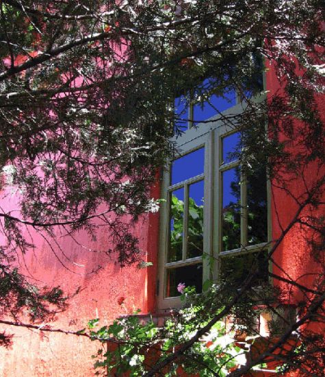 autor: paulo rodrigues
título: Janela florida