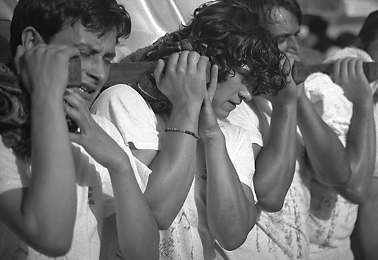 autor: Manuel Luís Cochofel