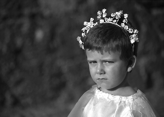 autor: Manuel Luís Cochofel