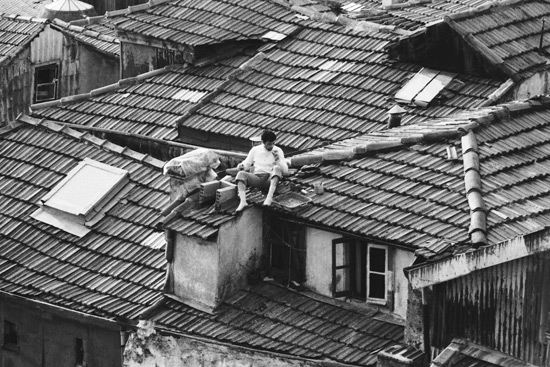 author: Sofia Quintas
title: Consertando o telhado