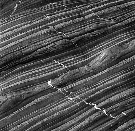 autor: Manuel Luís Cochofel