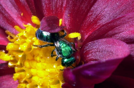 autor: paulo rodrigues
t&iacute;tulo: Friends