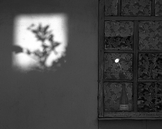 autor: paulo rodrigues
t&iacute;tulo: Composition with mirrors