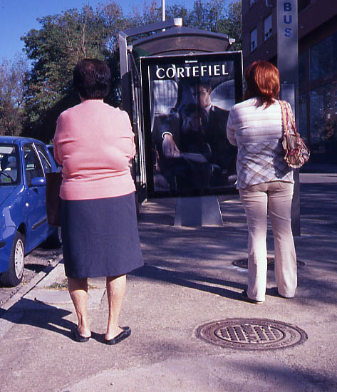 autor : Manuel Luís Cochofel                    