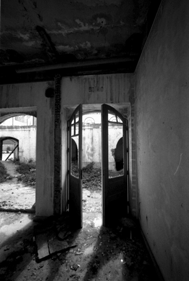 autor: paulo rodrigues
título: Clarity