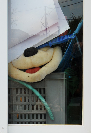 autor: paulo rodrigues
título: smile