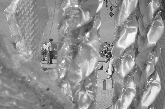 autor: Manuel Luís Cochofel