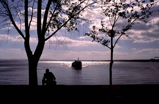 autor: paulo rodrigues
t&iacute;tulo: Quem sabe...