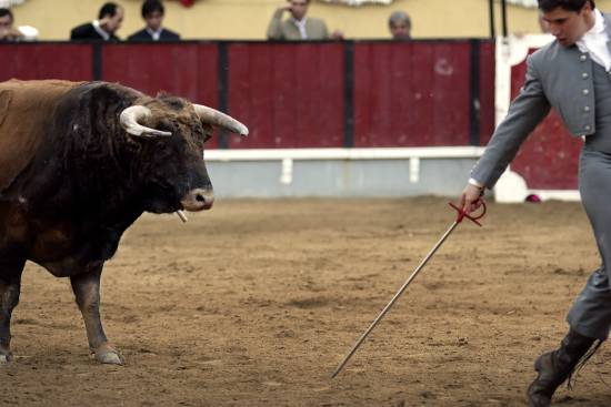 autor: Sofia Quintas