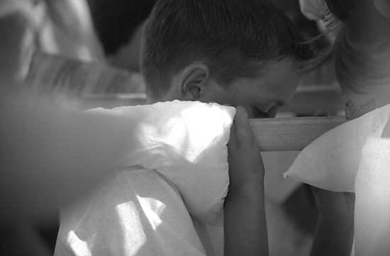 autor: Manuel Luís Cochofel