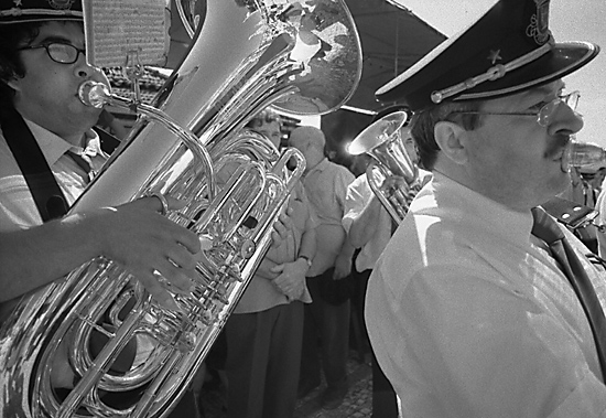 autor: Manuel Luís Cochofel