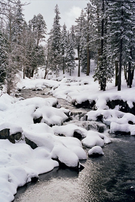 autor: paulo rodrigues
t&iacute;tulo: Creekside