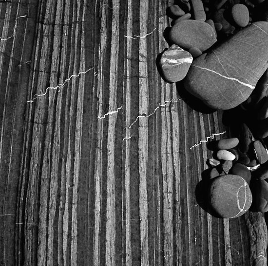 autor: Manuel Luís Cochofel