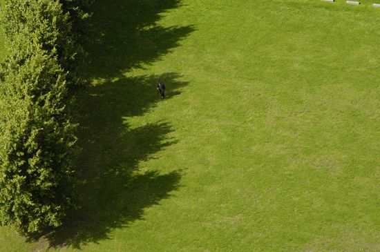 autor: paulo rodrigues
t&iacute;tulo: Walking across the park in Brussels