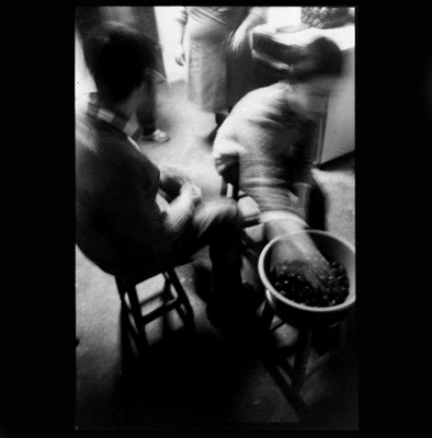 autor: Raquel Moura
t&iacute;tulo: um soutelinho