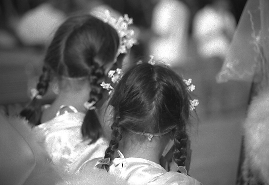 autor: Manuel Luís Cochofel