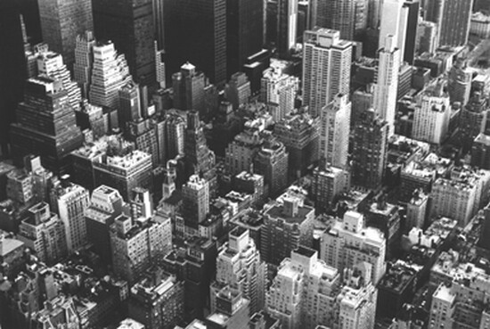 autor: paulo rodrigues
t&iacute;tulo: Predios