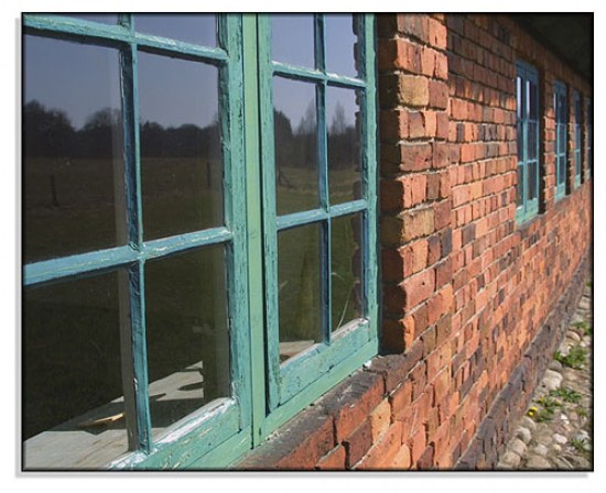 autor: paulo rodrigues
título: Windows