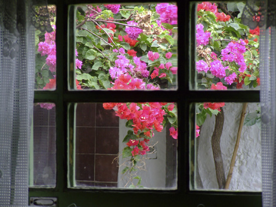 autor: paulo rodrigues