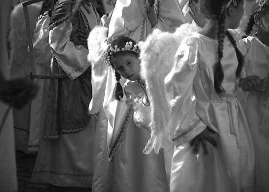 autor: Manuel Luís Cochofel