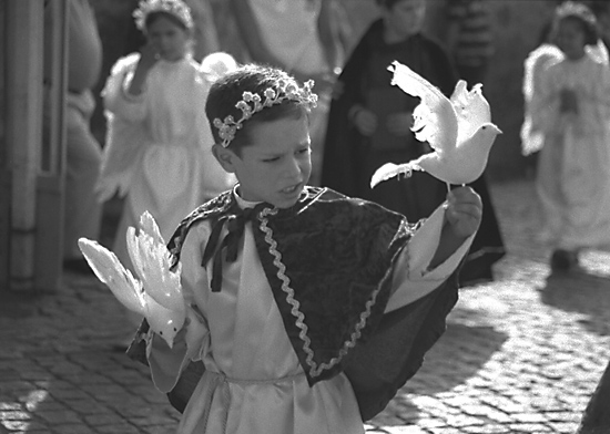 autor: Manuel Luís Cochofel