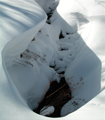 autor: paulo rodrigues
t&iacute;tulo: Cold