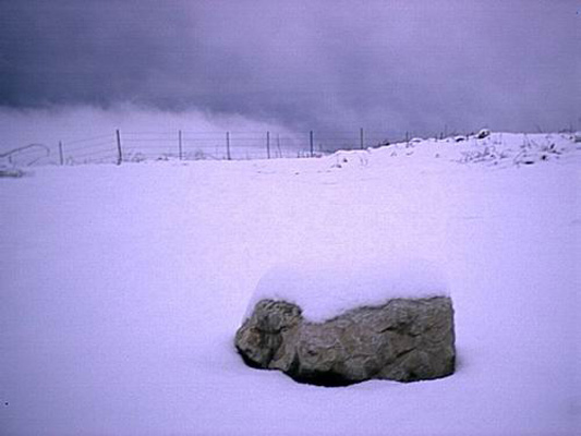 autor: paulo rodrigues
t&iacute;tulo: Snow in Israel