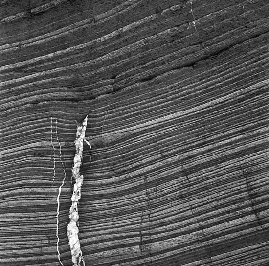 autor: Manuel Luís Cochofel