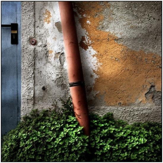 auteur: Raoul Iacometti
titre: Floreal Beauty