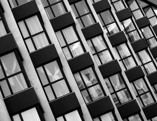 autor: paulo rodrigues
título: Xadrez