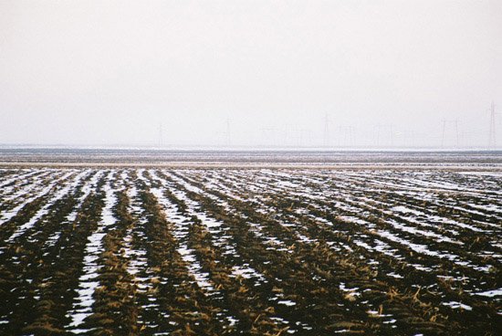 author: paulo rodrigues
title: Winter in the Panonian Plain