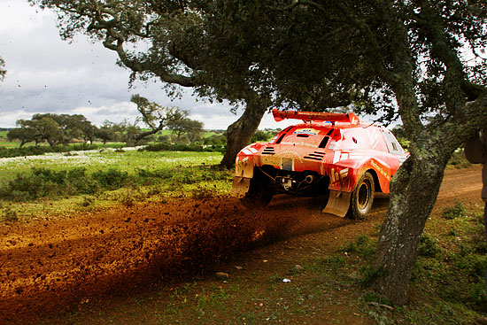 auteur: Joost De Raeymaeker