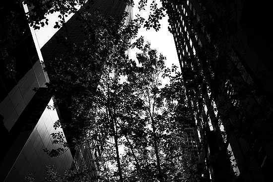 autor: paulo rodrigues