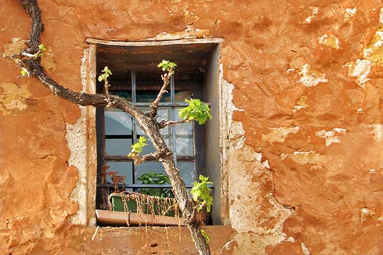 autor: paulo rodrigues
título: Apparente désertion