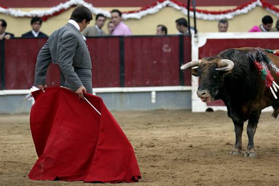 autor: Sofia Quintas